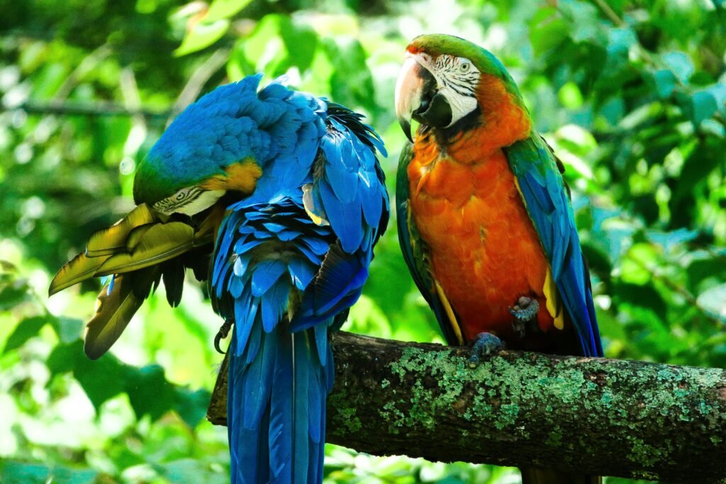 Pet Wellness Guide: Simple Daily Habits That Make Your Pet Live Longer