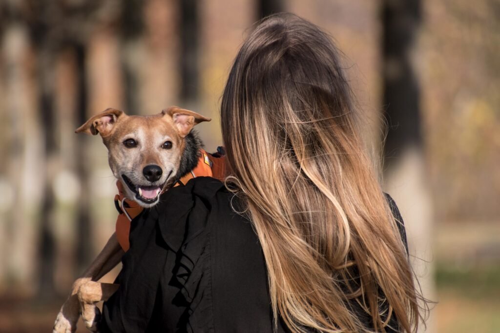 Simple Summer Care Guide for Pet Owners